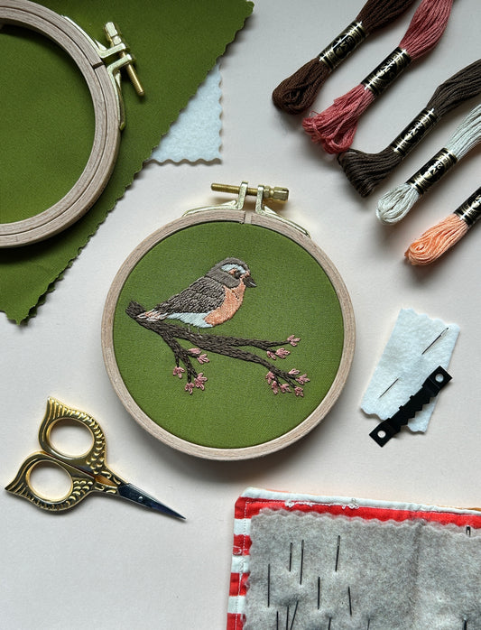 Spring Robin - Bird Embroidery Kit for Beginners