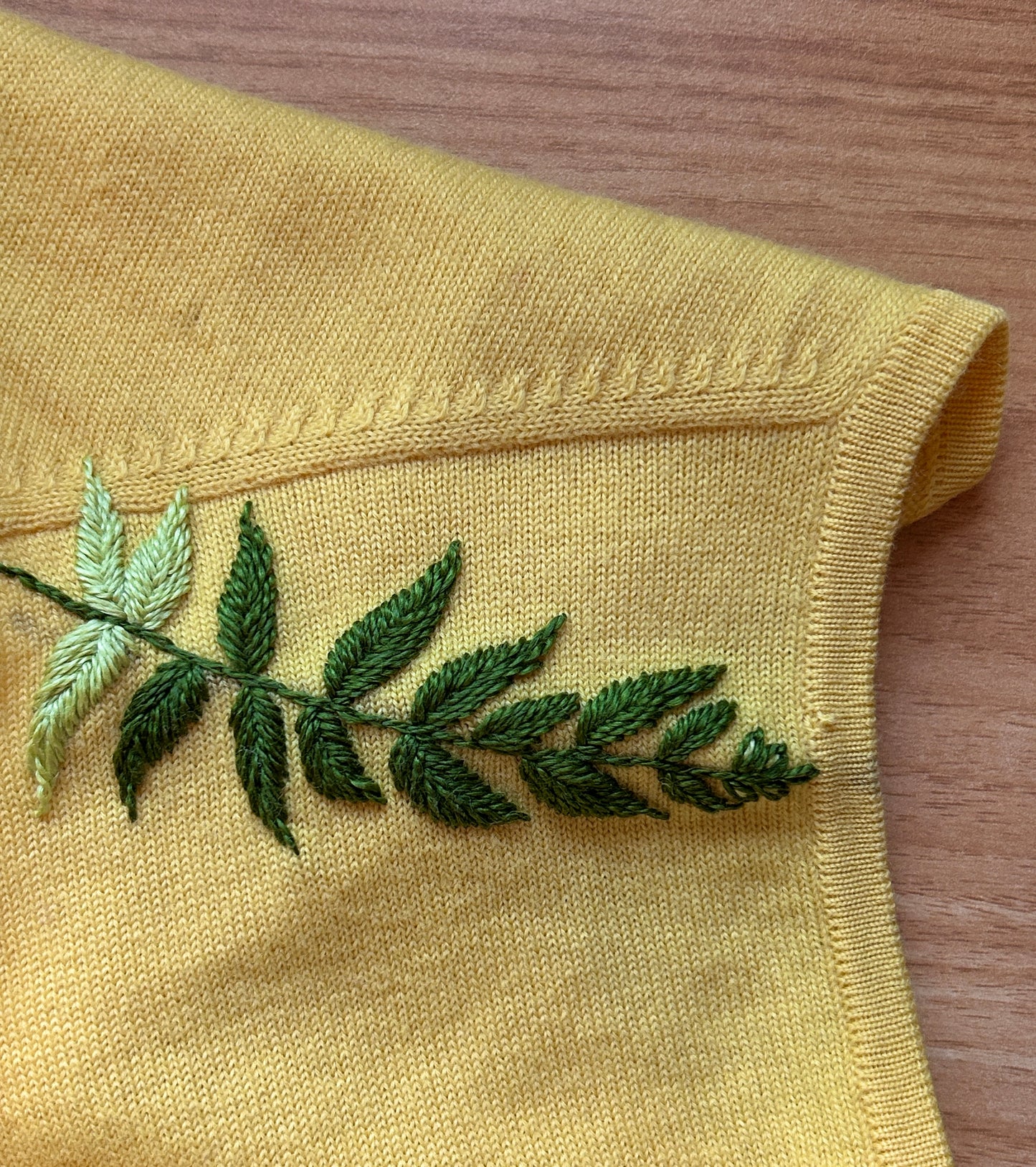 Ferns Embroidery Patterns - Stick and Stitch Botanical Embroidery