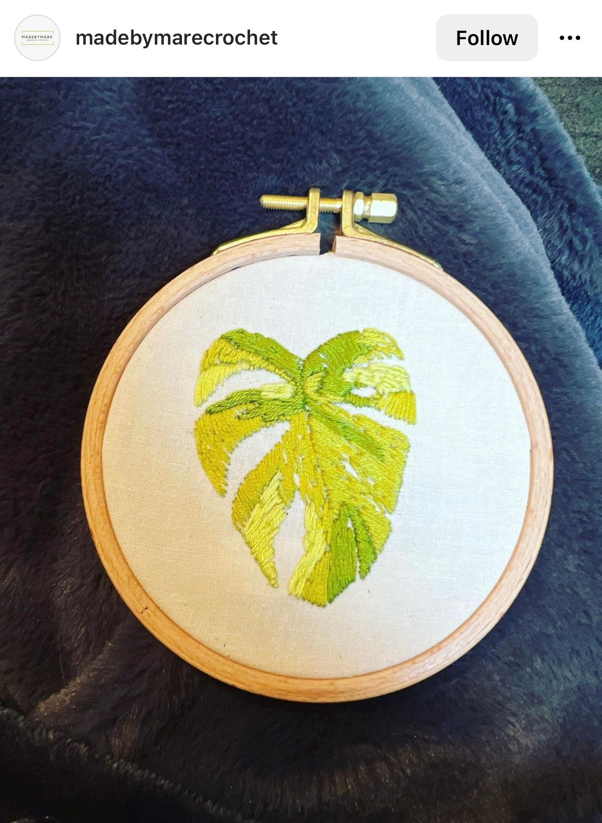 Variegated Monstera- DIY Beginner Hand Embroidery Kit