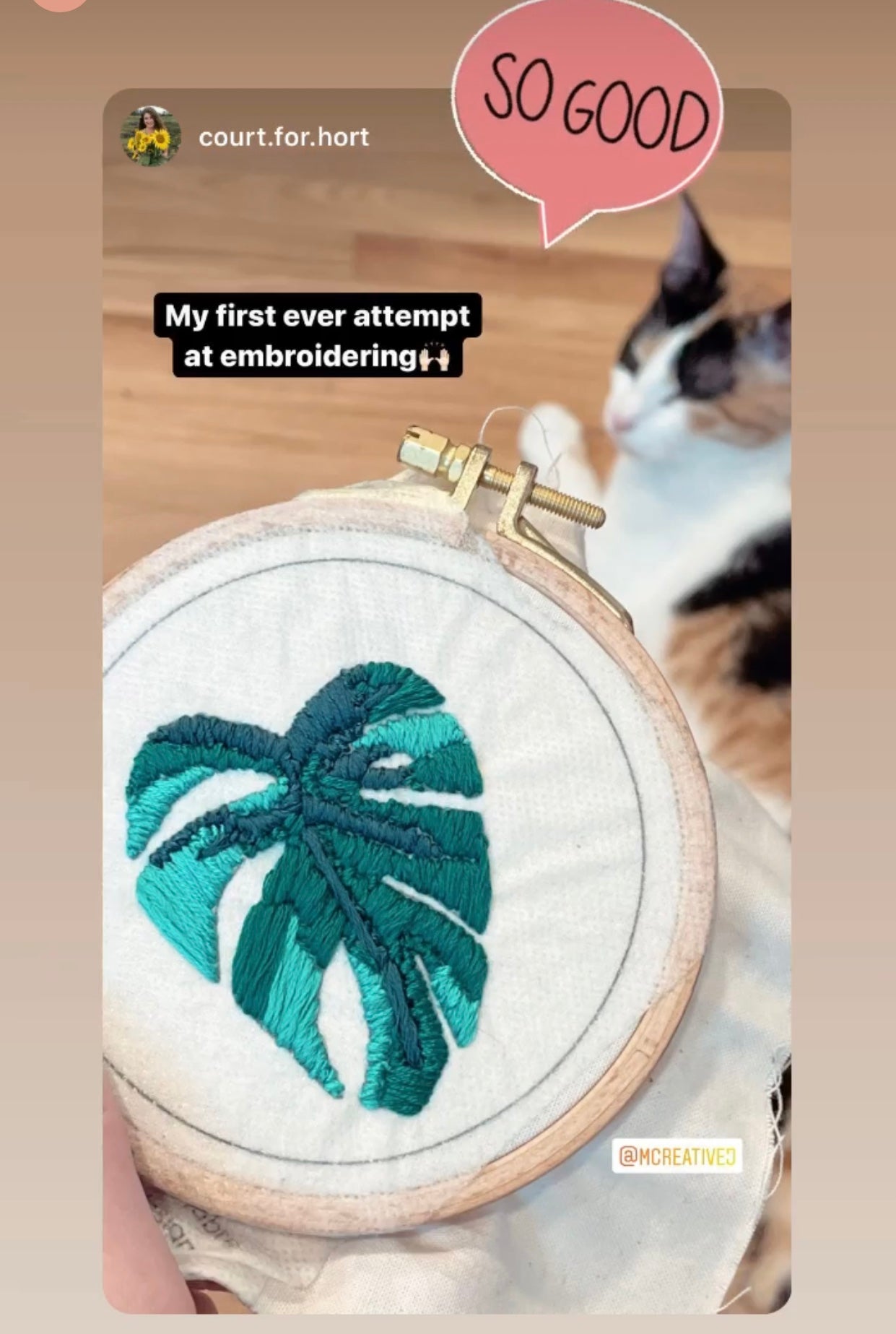 Variegated Monstera- DIY Beginner Hand Embroidery Kit