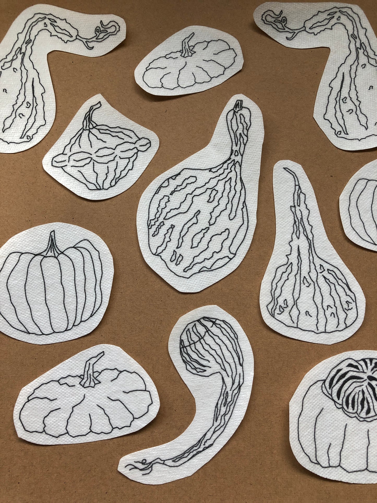 Gourds - Peel Stick and Stitch Hand Embroidery Patterns for DIY Crafting