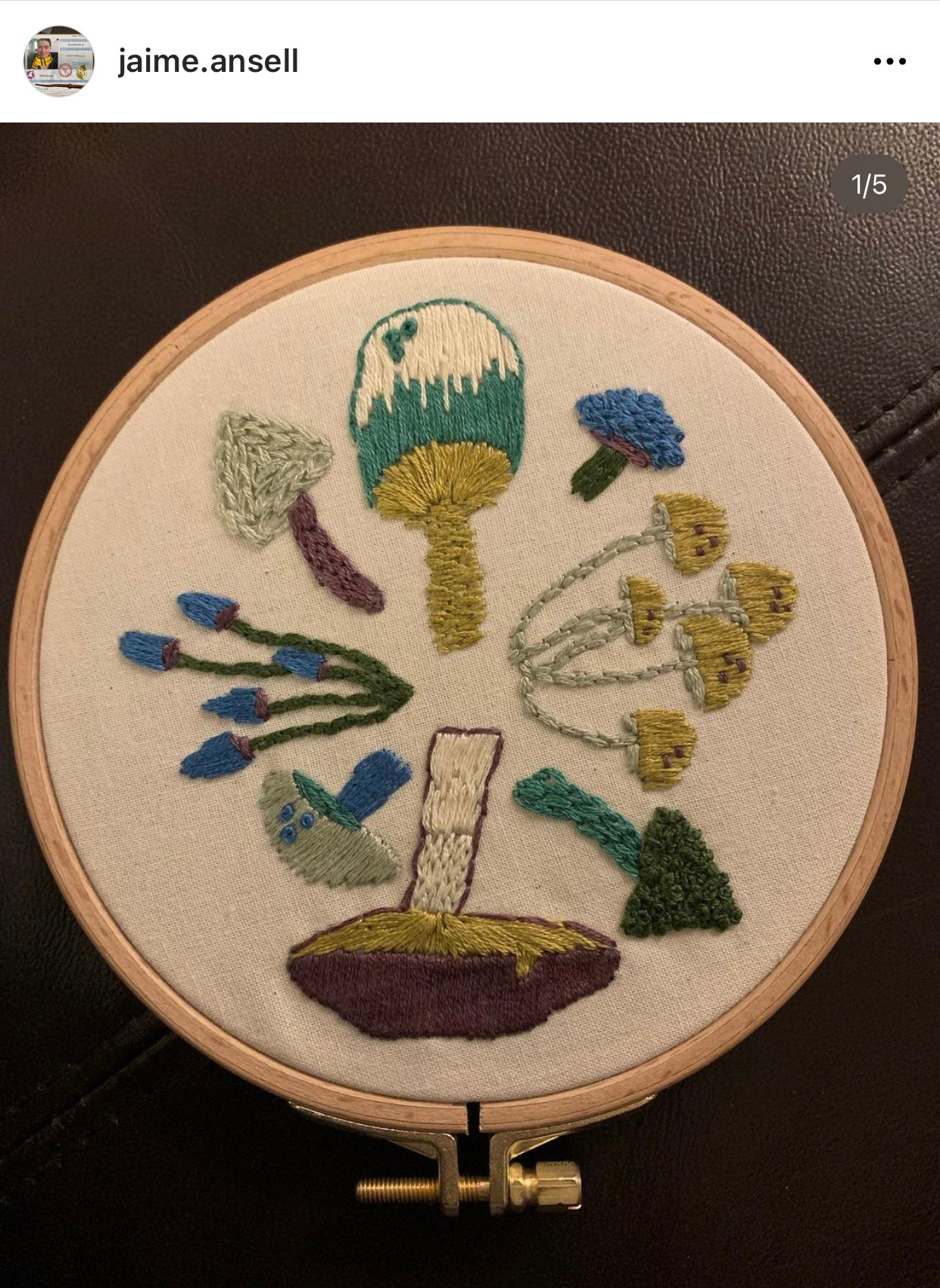 Real Life Customer Design from Instagram From Mushroom Stick and Stitch Embroidery Patterns Kit
