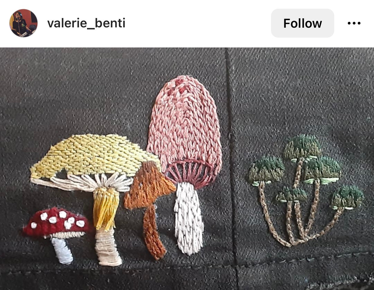 Real Life Stitches from Instagram From Mushroom Stick and Stitch Embroidery Patterns Kit